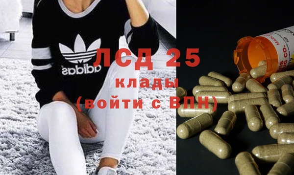 PSILOCYBIN Алзамай