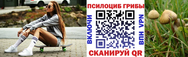 OMG ССЫЛКА  Трубчевск  Псилоцибиновые грибы Psilocybine cubensis 
