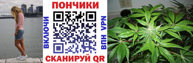Конопля MAZAR  Трубчевск 